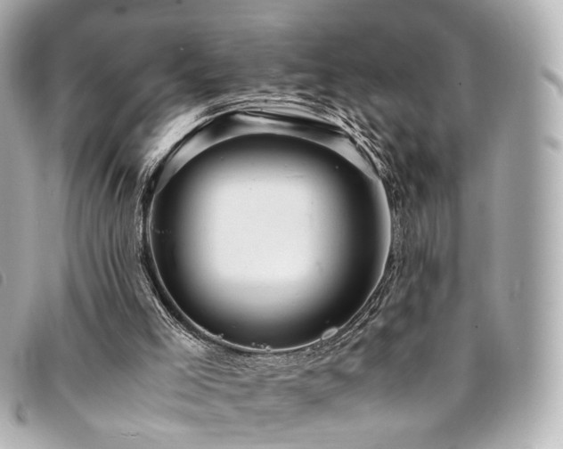 X0000094220005200710261239