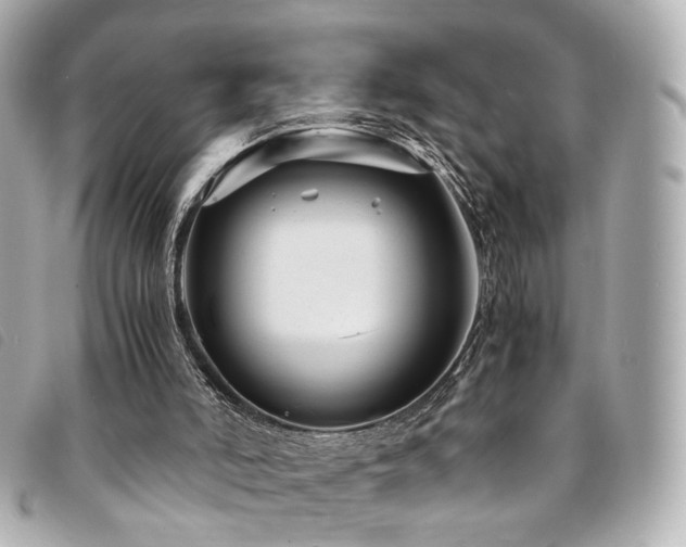 X0000094220006200710261239