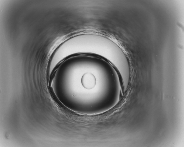 X0000094220007200710261239