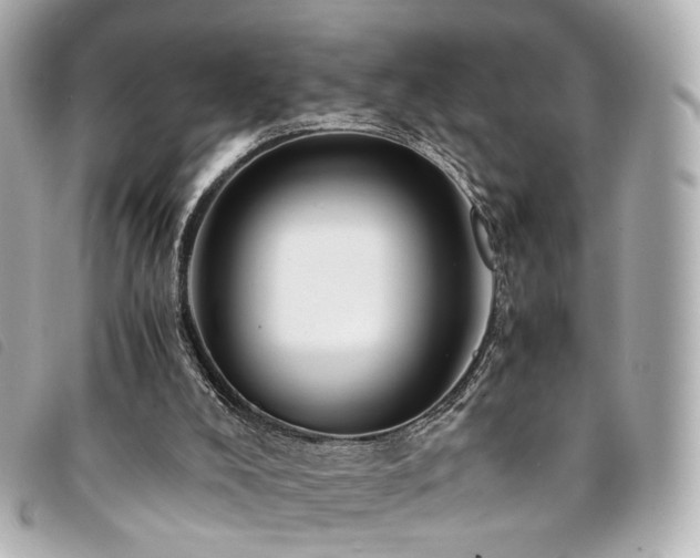 X0000094220008200710261239