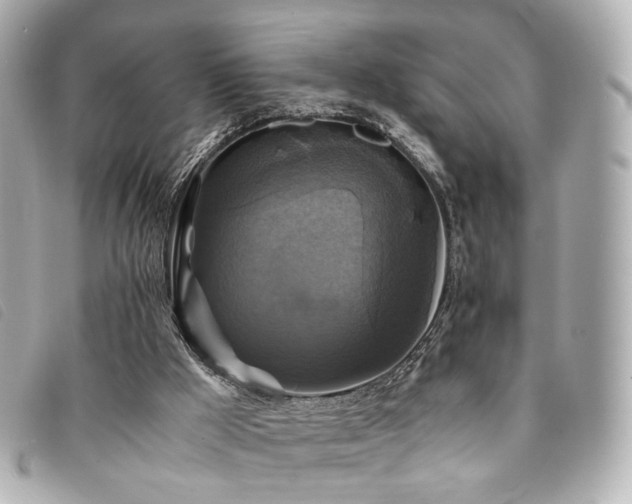 X0000094220009200710261239