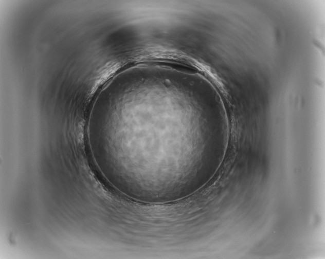 X0000094220010200710261239