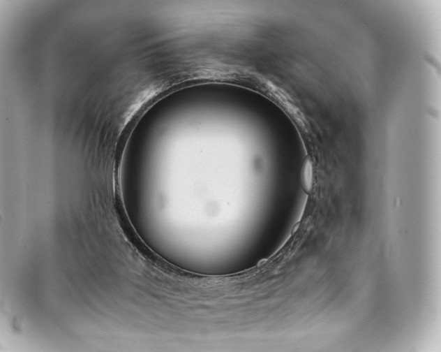 X0000094220011200710261239