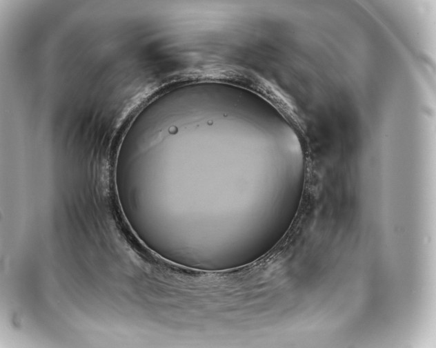 X0000094220012200710261239