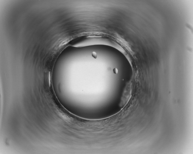 X0000094220013200710261238