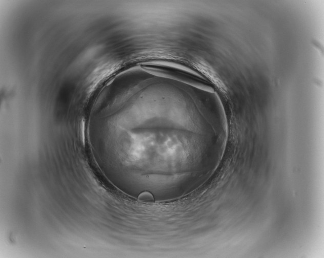 X0000094220014200710261238