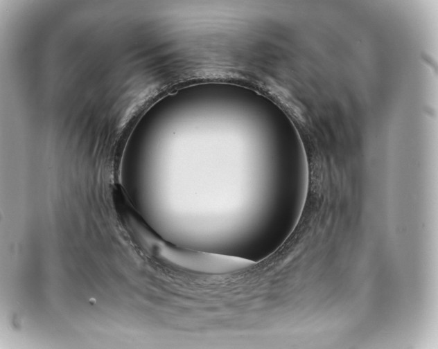 X0000094220015200710261238