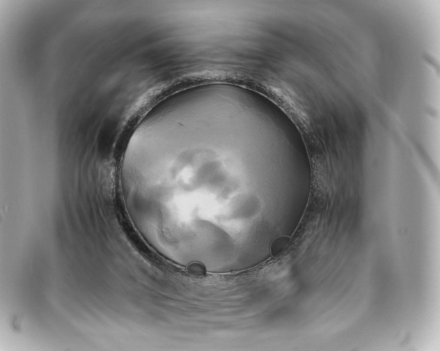 X0000094220016200710261238