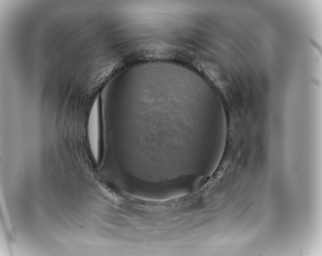 X0000094220017200710261238