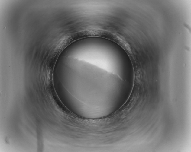 X0000094220018200710261238