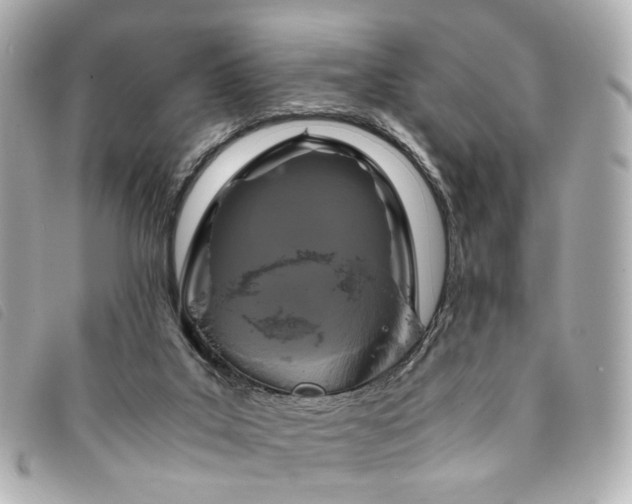 X0000094220019200710261238