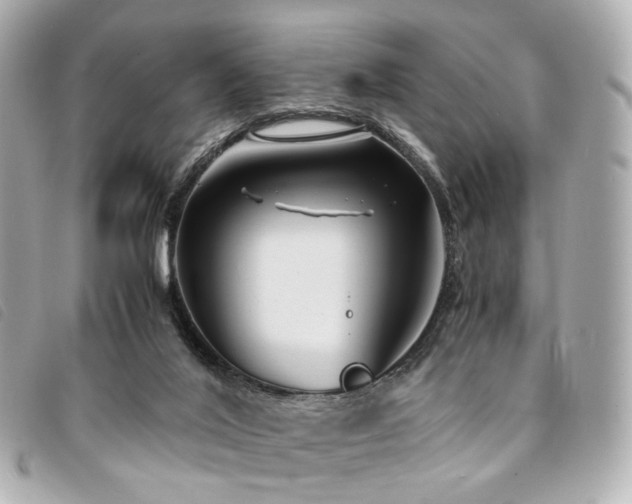 X0000094220020200710261238