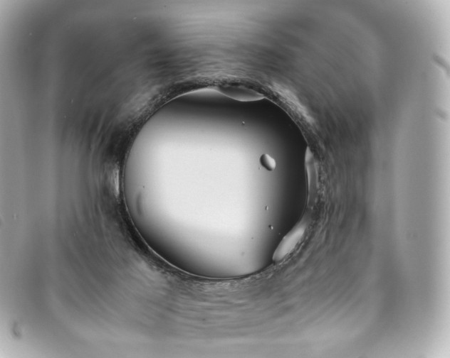 X0000094220021200710261238