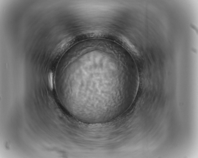 X0000094220022200710261238