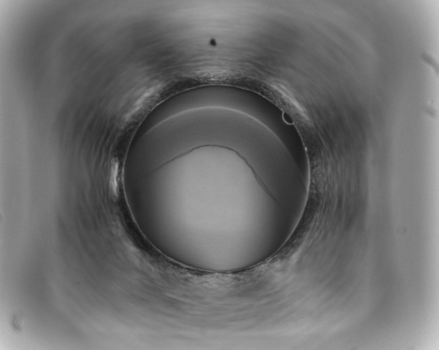 X0000094220024200710261238