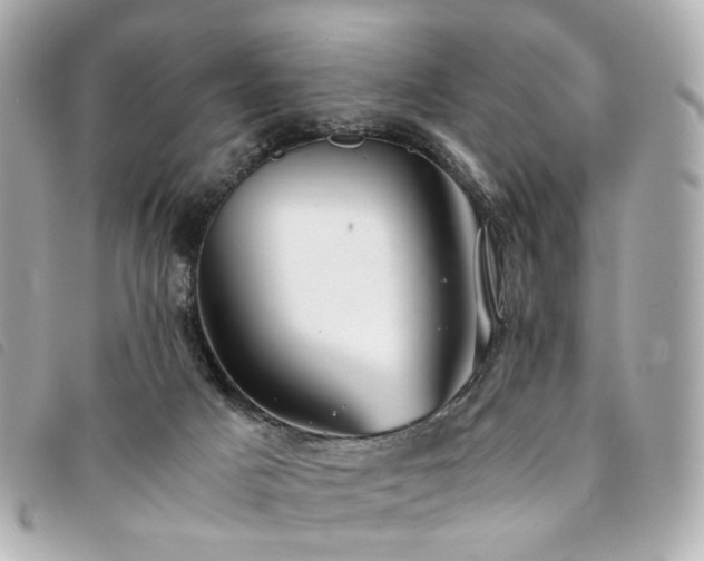 X0000094220025200710261238