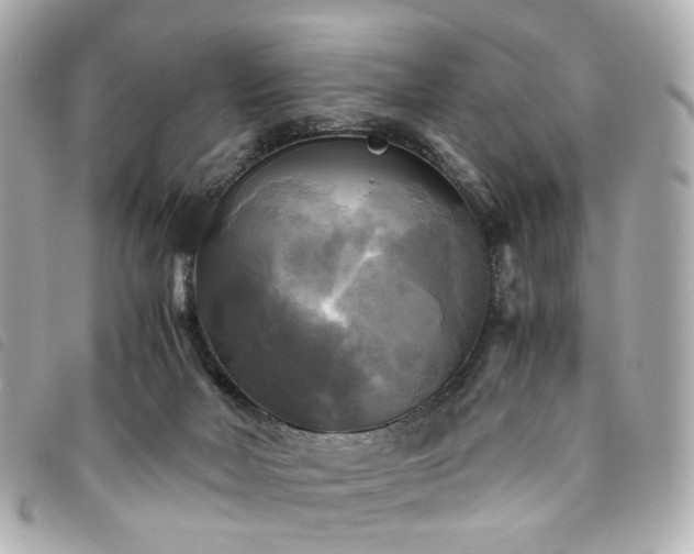 X0000094220026200710261238