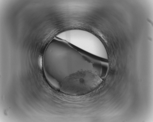 X0000094220027200710261238