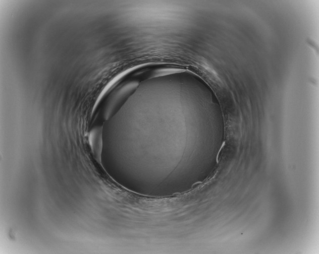 X0000094220029200710261238