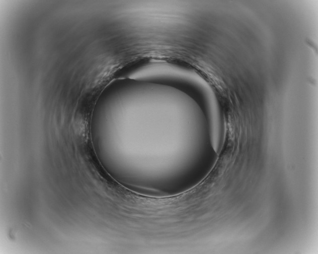 X0000094220031200710261238