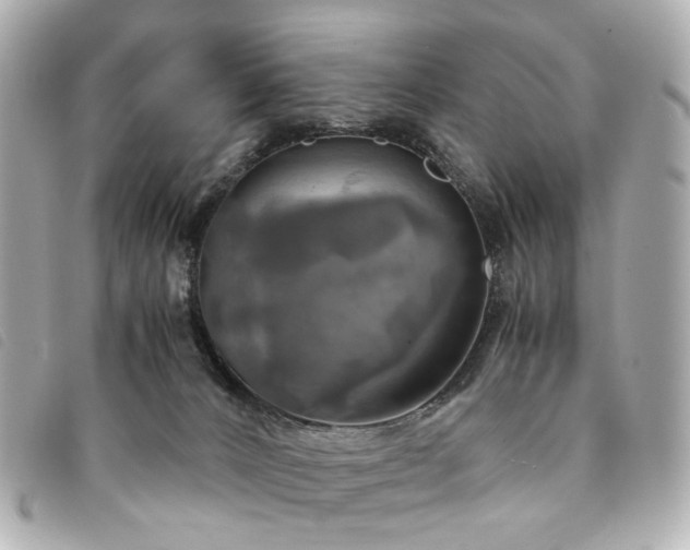 X0000094220032200710261238