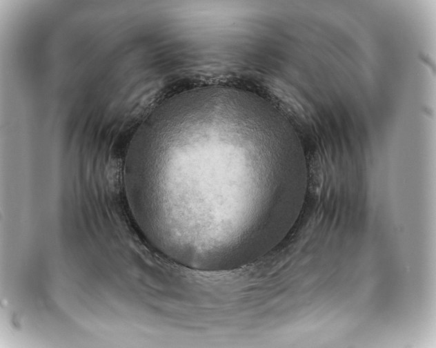 X0000094220034200710261238