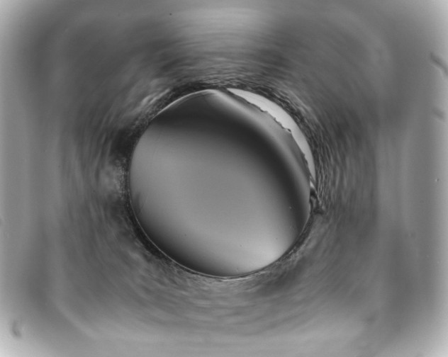 X0000094220035200710261238