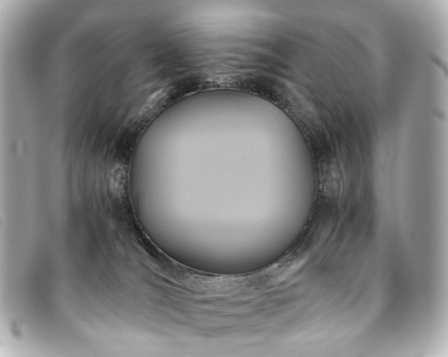 X0000094220036200710261238