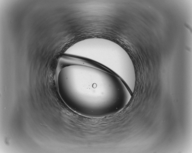 X0000094220037200710261238