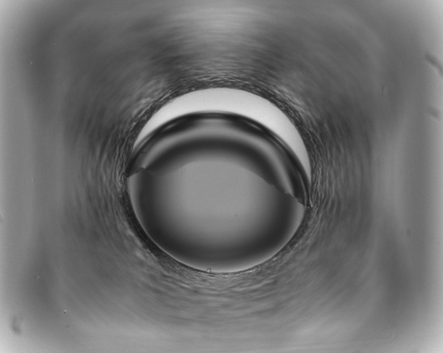 X0000094220039200710261238