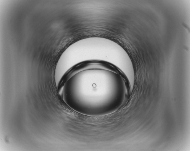 X0000094220041200710261238