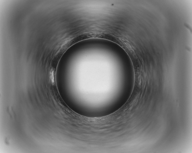 X0000094220042200710261238