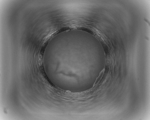 X0000094220043200710261238