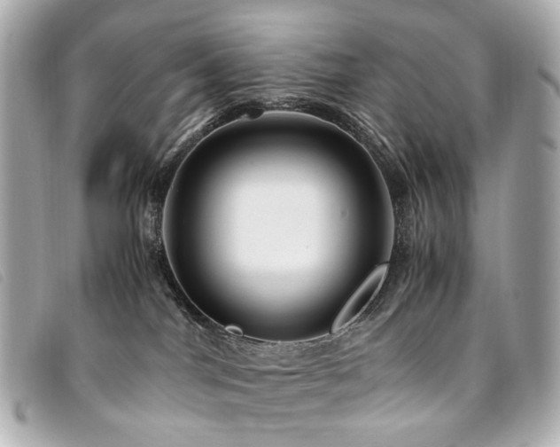 X0000094220044200710261238