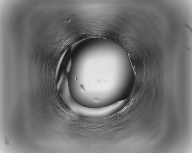 X0000094220045200710261238