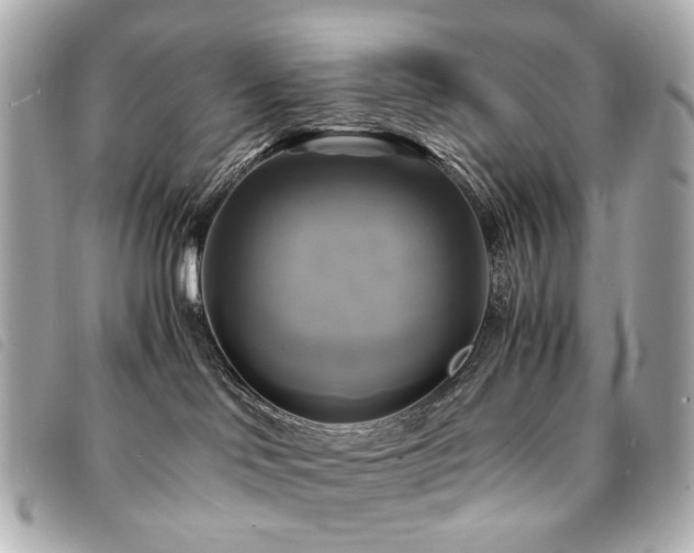 X0000094220046200710261238