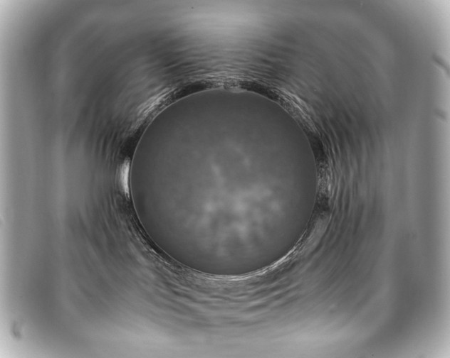 X0000094220047200710261238