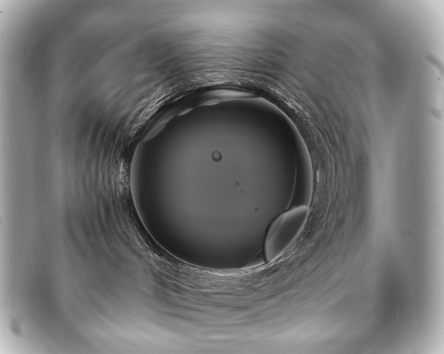 X0000094220048200710261238