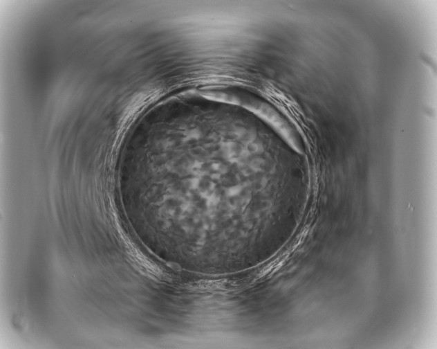 X0000094220049200710261237