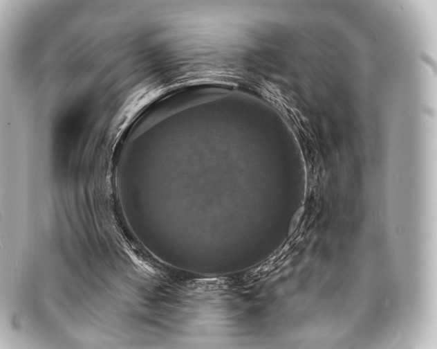 X0000094220050200710261237