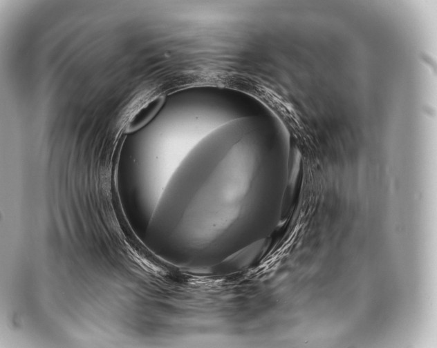 X0000094220051200710261238