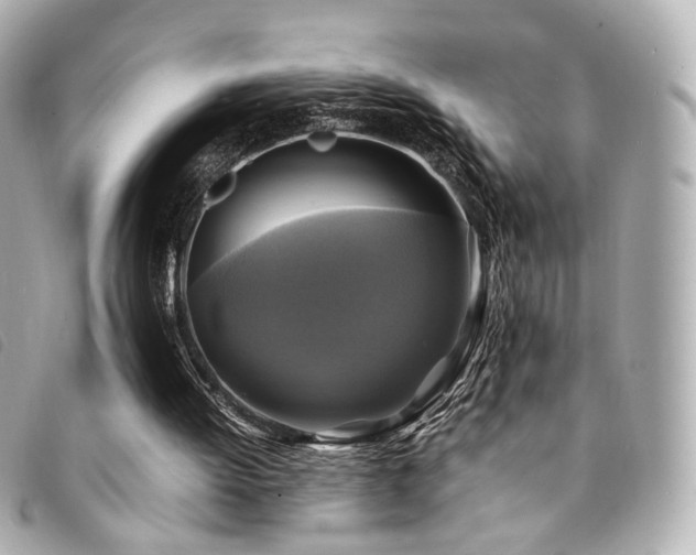 X0000094220052200710261238