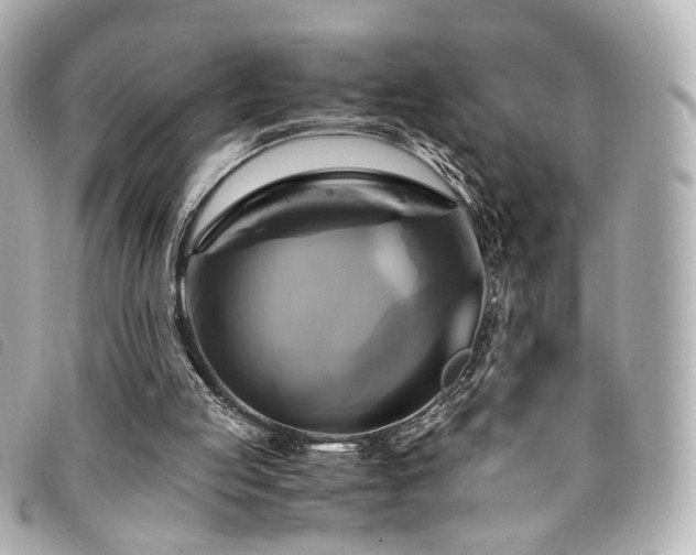 X0000094220053200710261238