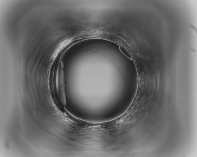 X0000094220054200710261238