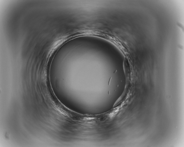 X0000094220055200710261238