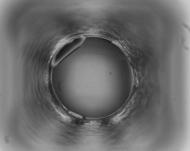 X0000094220056200710261238