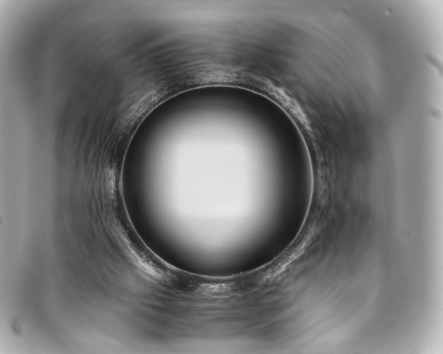 X0000094220057200710261238