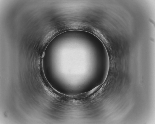 X0000094220058200710261238