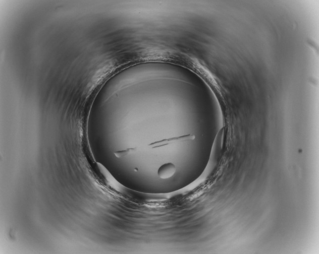 X0000094220059200710261238