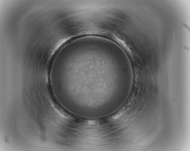 X0000094220060200710261238